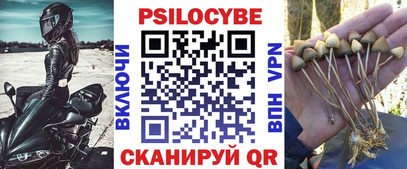 Галлюциногенные грибы мицелий  блэк спрут ONION  нарко площадка состав  цены наркотик  Ирбит 